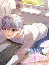 Portada de ¡Piedad, XueZhang! No levantes mi falda